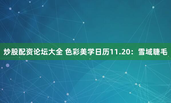 炒股配资论坛大全 色彩美学日历11.20：雪域睫毛