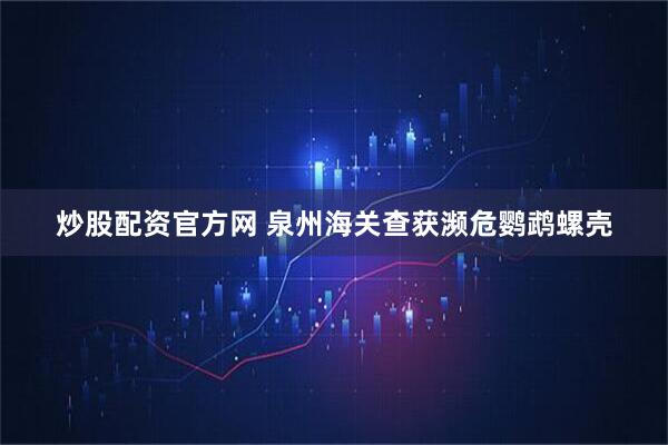 炒股配资官方网 泉州海关查获濒危鹦鹉螺壳