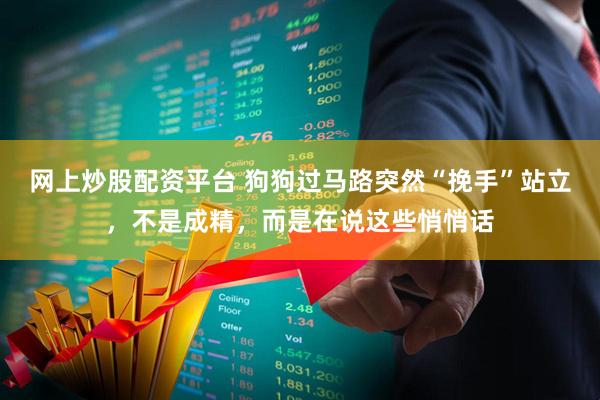 网上炒股配资平台 狗狗过马路突然“挽手”站立，不是成精，而是在说这些悄悄话
